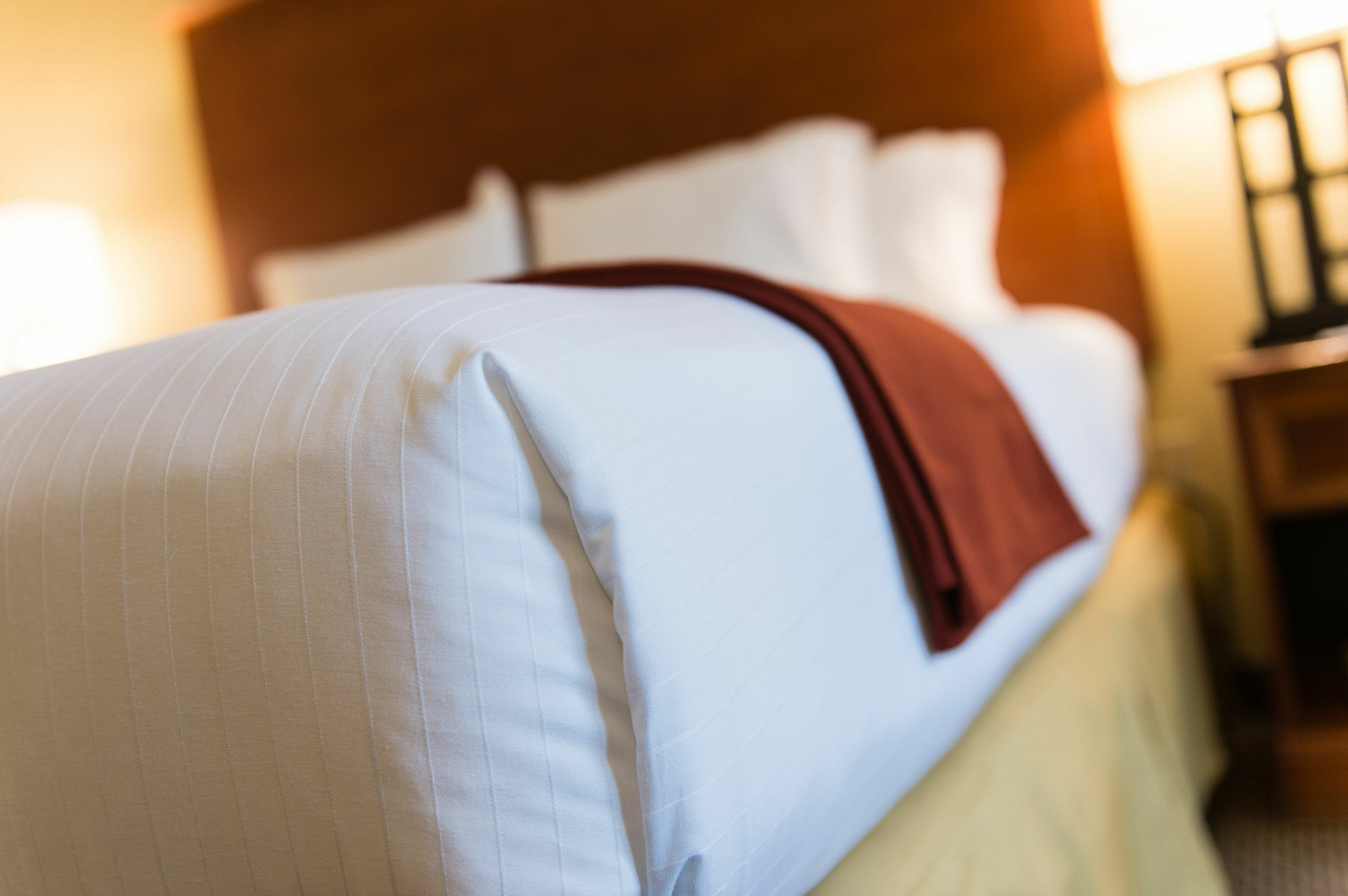 Holiday Inn Express & Suites Columbia-I-26 @ Harbison Blvd By Ihg Exterior foto